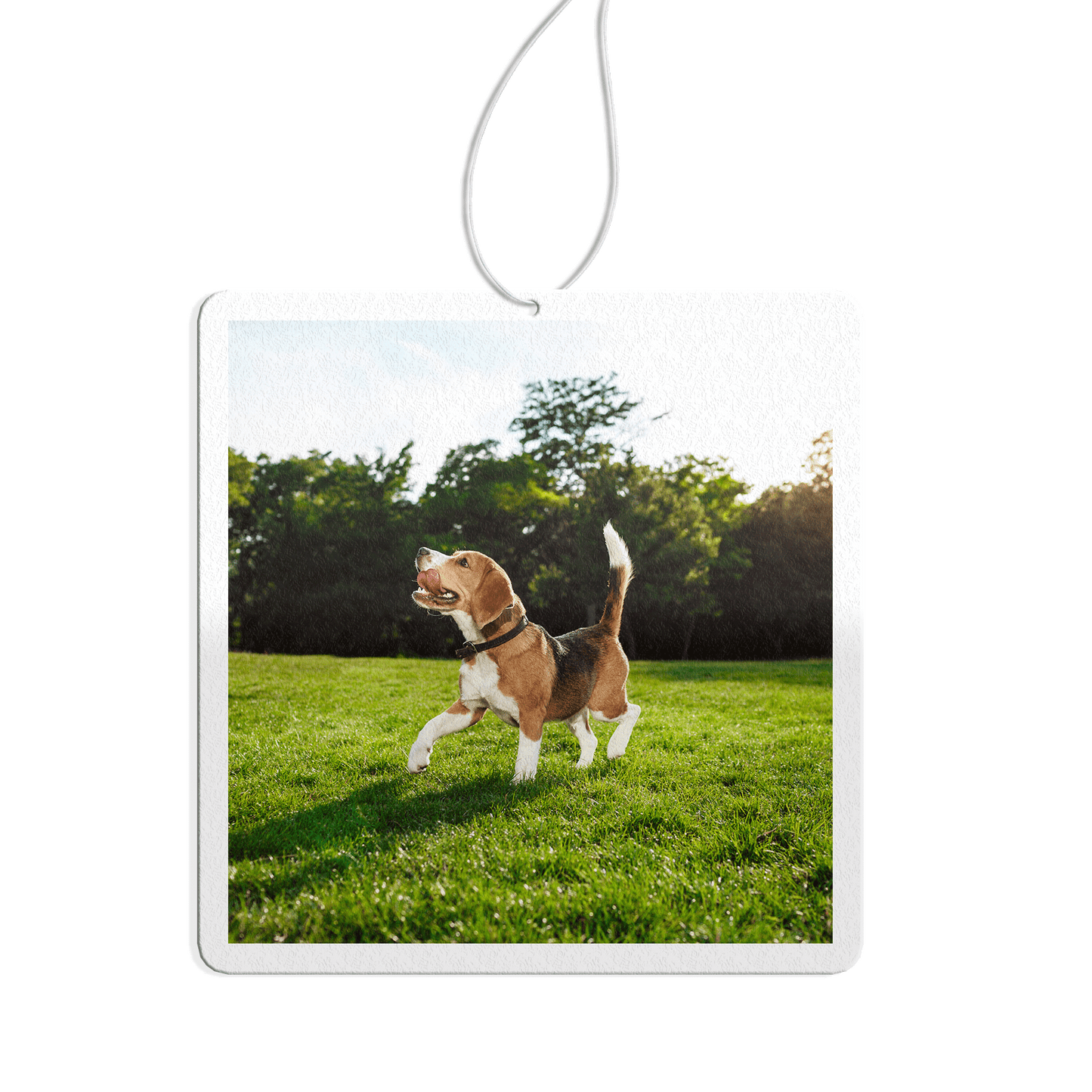 Custom Car Air Freshener Personalised With Your Puppy Photo - FRESHENiFY - Customised Air Fresheners